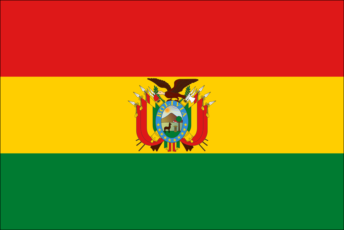 Nos Actions Humanitaires En Bolivie Un Enfant Par La Main   Drapeau Bolivie 0 