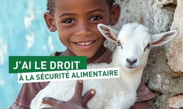 Une chèvre pour renforcer l’autonomie des familles en Haïti