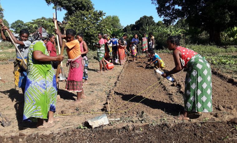 Agir en consortium entre membres de la CHD : une collaboration exemplaire entre Un Enfant par la Main et Fert à Madagascar