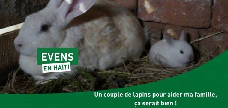 Un couple de lapins pour assurer une source de revenus tout au long de l’année en Haïti